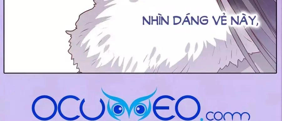 Mỹ Nhân Già Rồi Chapter 55 - 73