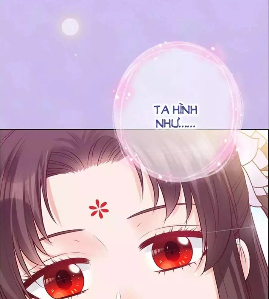 Mỹ Nhân Già Rồi Chapter 55 - 74