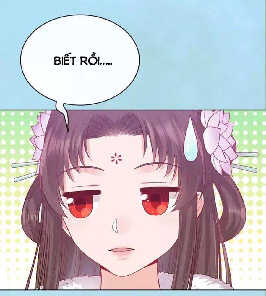 Mỹ Nhân Già Rồi Chapter 56 - 75