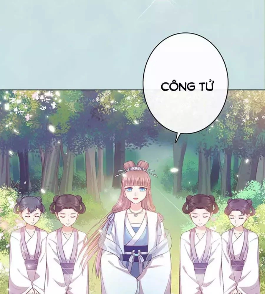 Mỹ Nhân Già Rồi Chapter 56 - 84