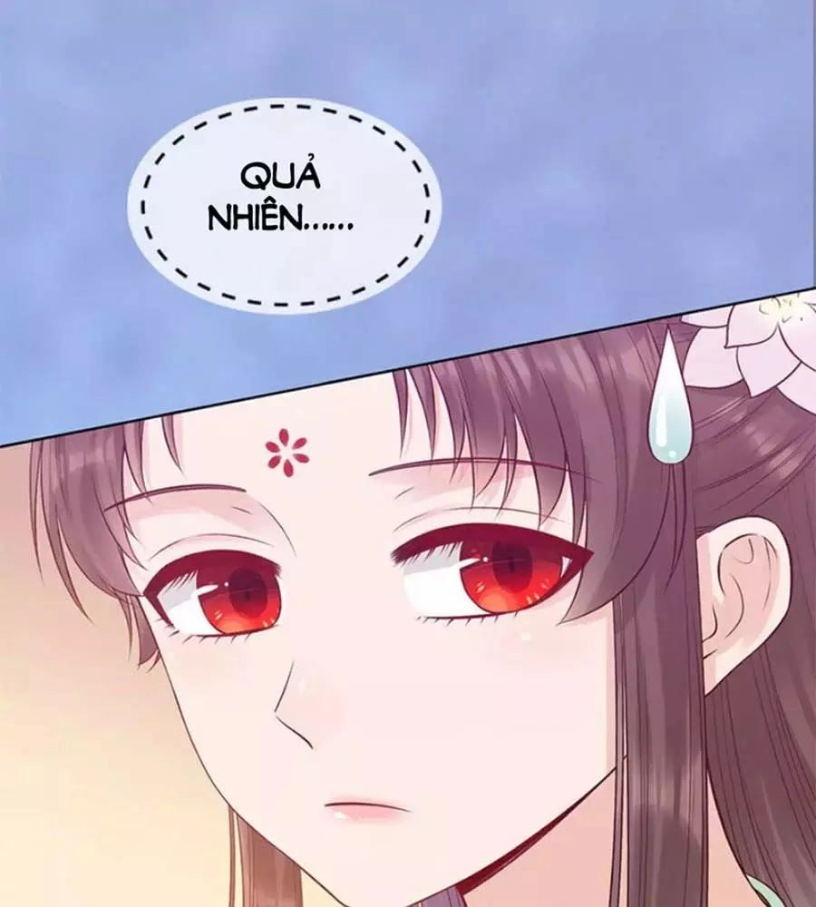 Mỹ Nhân Già Rồi Chapter 57 - 75