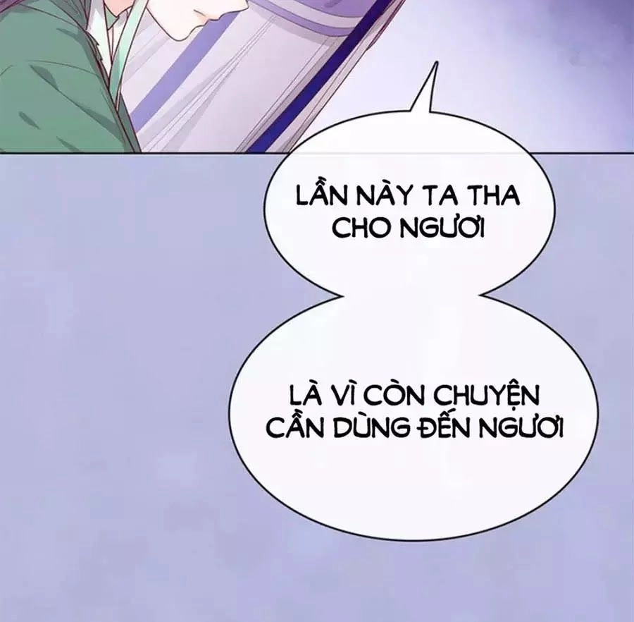 Mỹ Nhân Già Rồi Chapter 59 - 82
