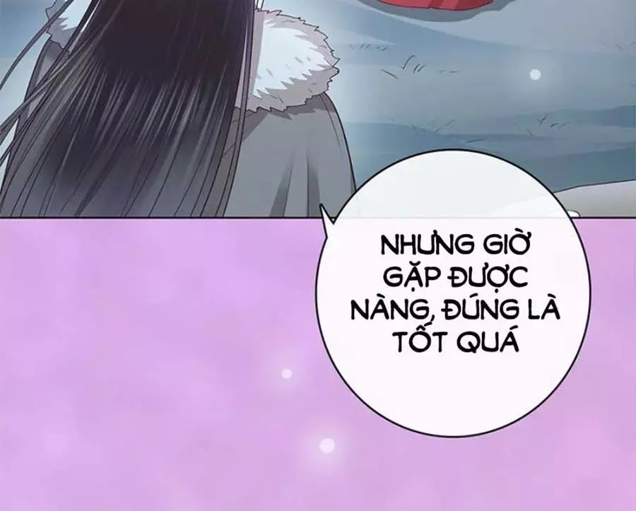 Mỹ Nhân Già Rồi Chapter 61 - 41