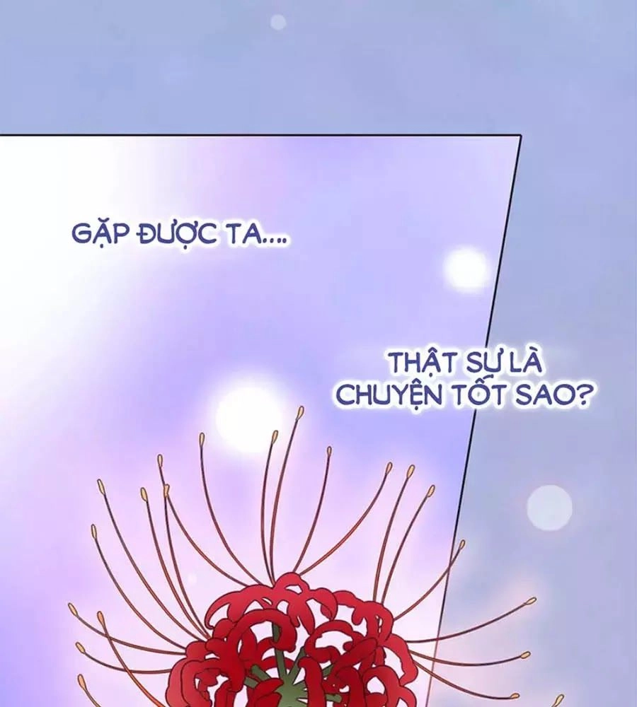 Mỹ Nhân Già Rồi Chapter 61 - 58