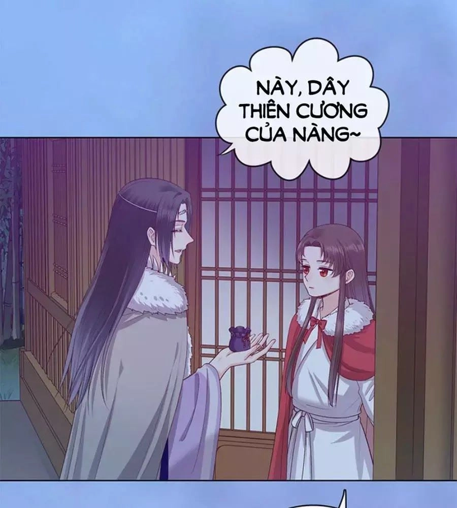 Mỹ Nhân Già Rồi Chapter 61 - 69