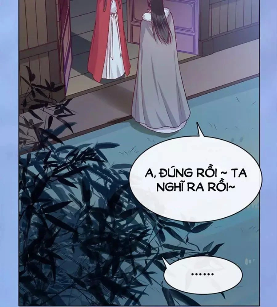 Mỹ Nhân Già Rồi Chapter 61 - 82