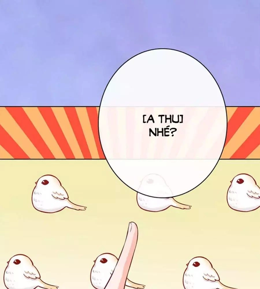 Mỹ Nhân Già Rồi Chapter 61 - 86