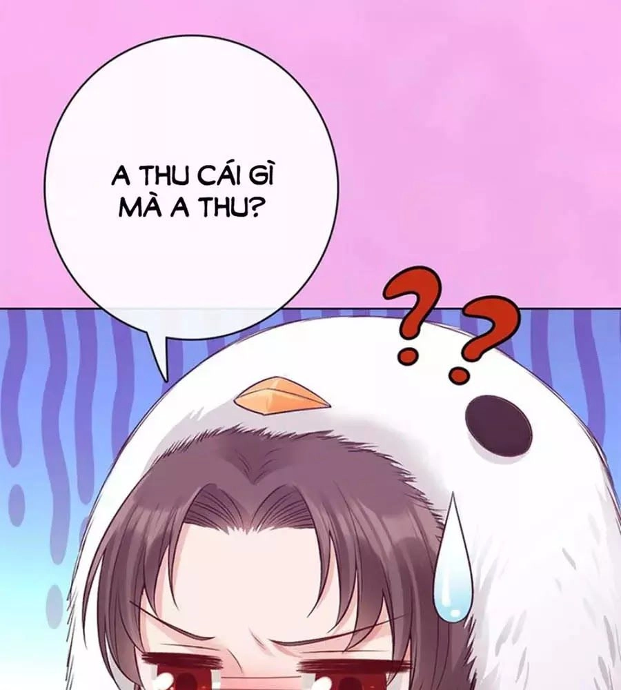 Mỹ Nhân Già Rồi Chapter 61 - 88