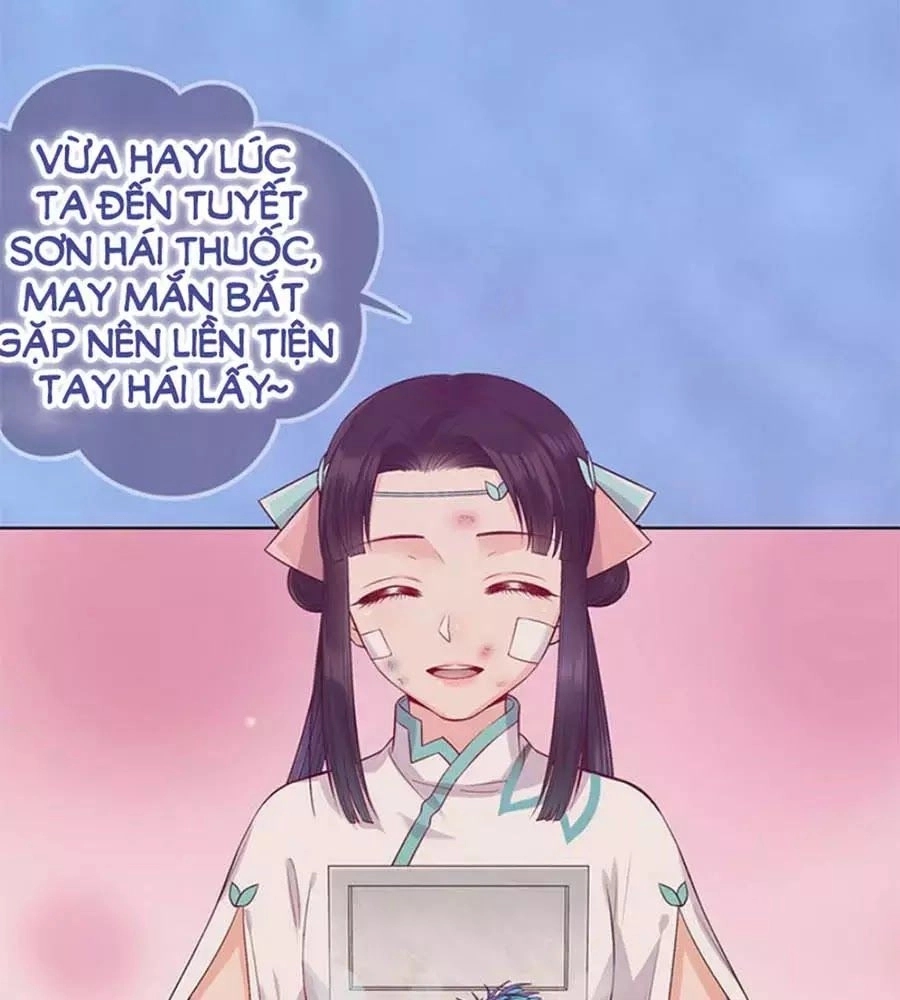 Mỹ Nhân Già Rồi Chapter 62 - 34