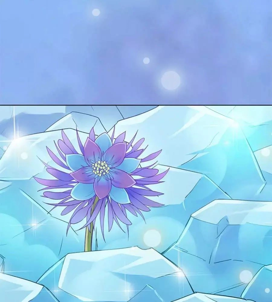 Mỹ Nhân Già Rồi Chapter 62 - 43