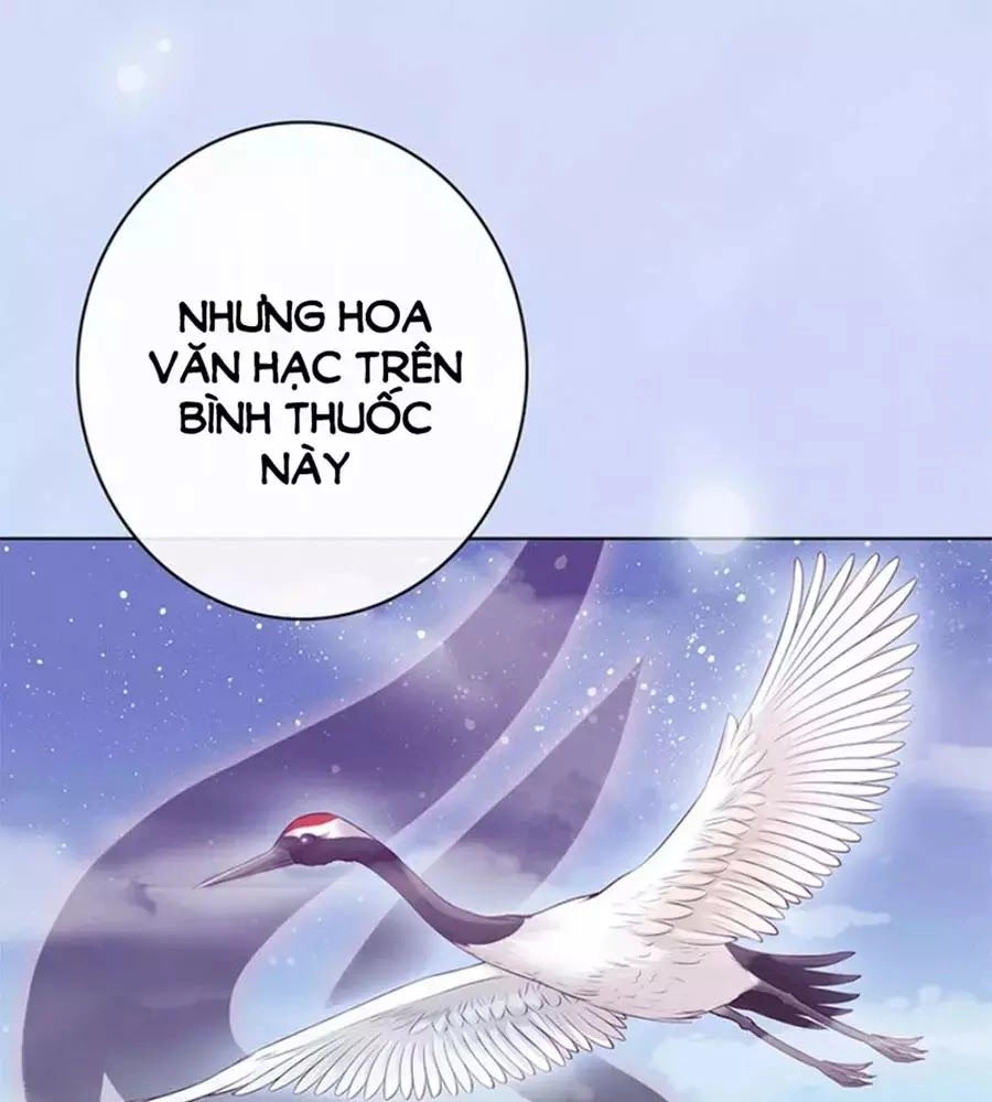 Mỹ Nhân Già Rồi Chapter 64 - 64