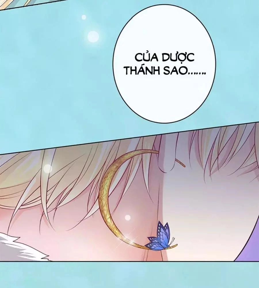 Mỹ Nhân Già Rồi Chapter 65 - 24