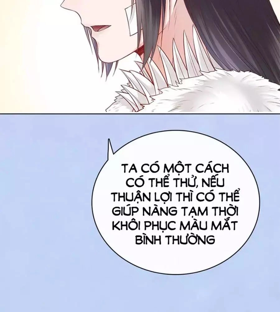 Mỹ Nhân Già Rồi Chapter 65 - 67