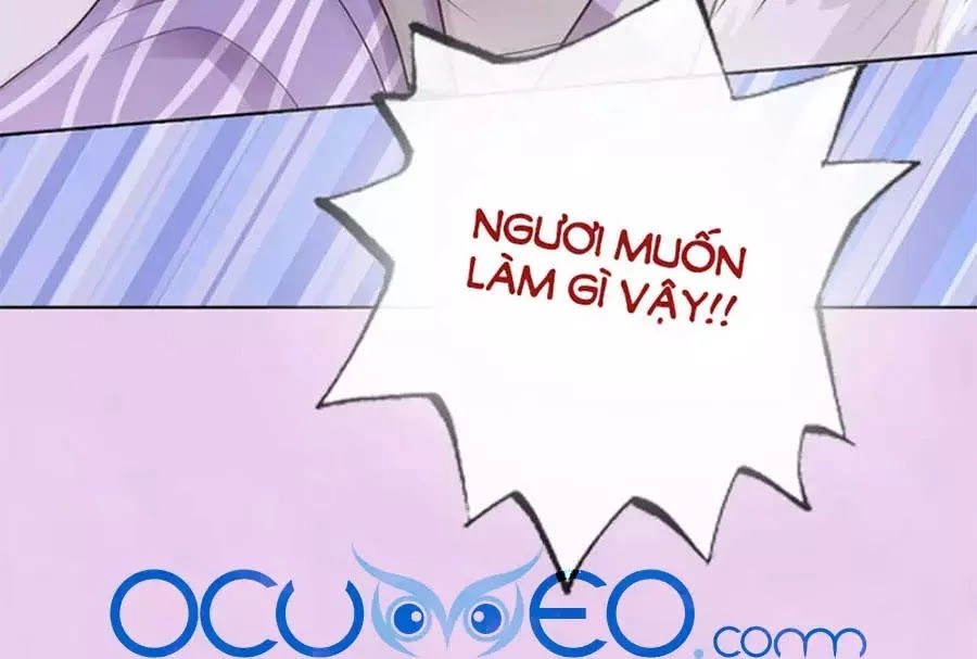 Mỹ Nhân Già Rồi Chapter 65 - 79