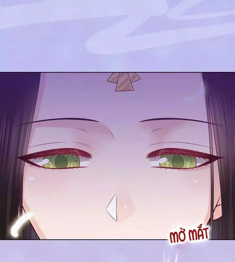 Mỹ Nhân Già Rồi Chapter 66 - 41