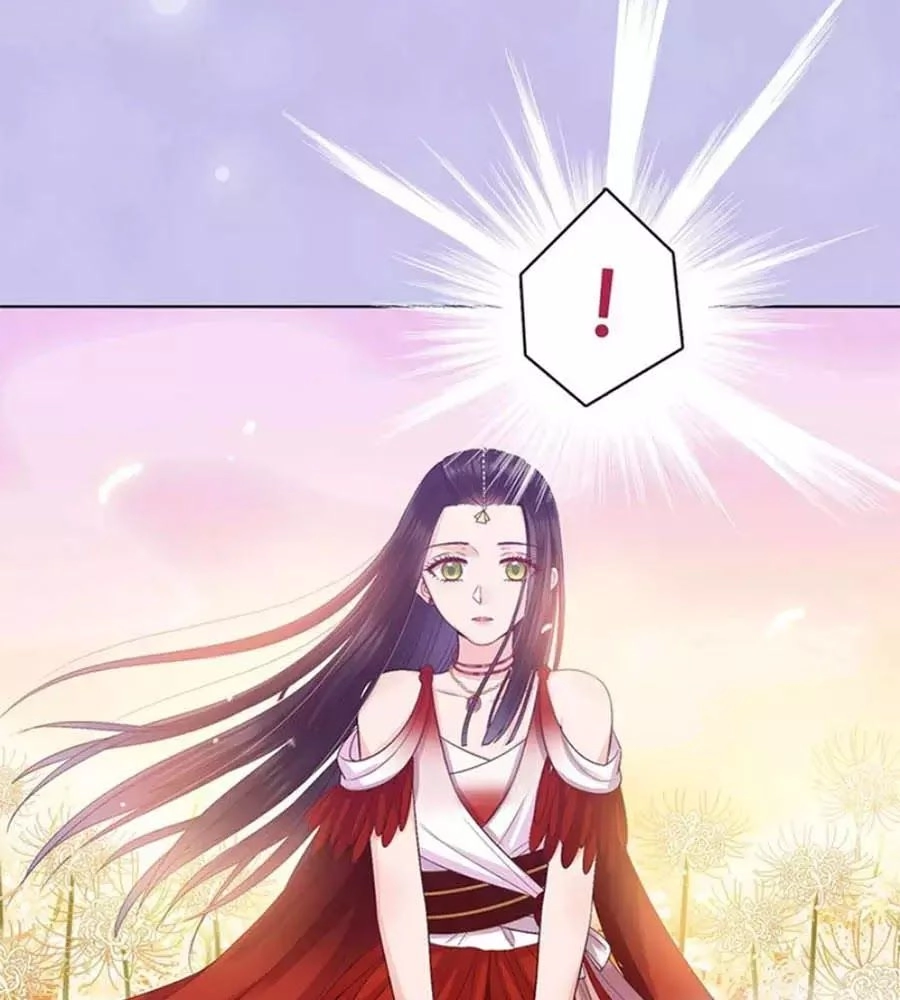 Mỹ Nhân Già Rồi Chapter 66 - 43