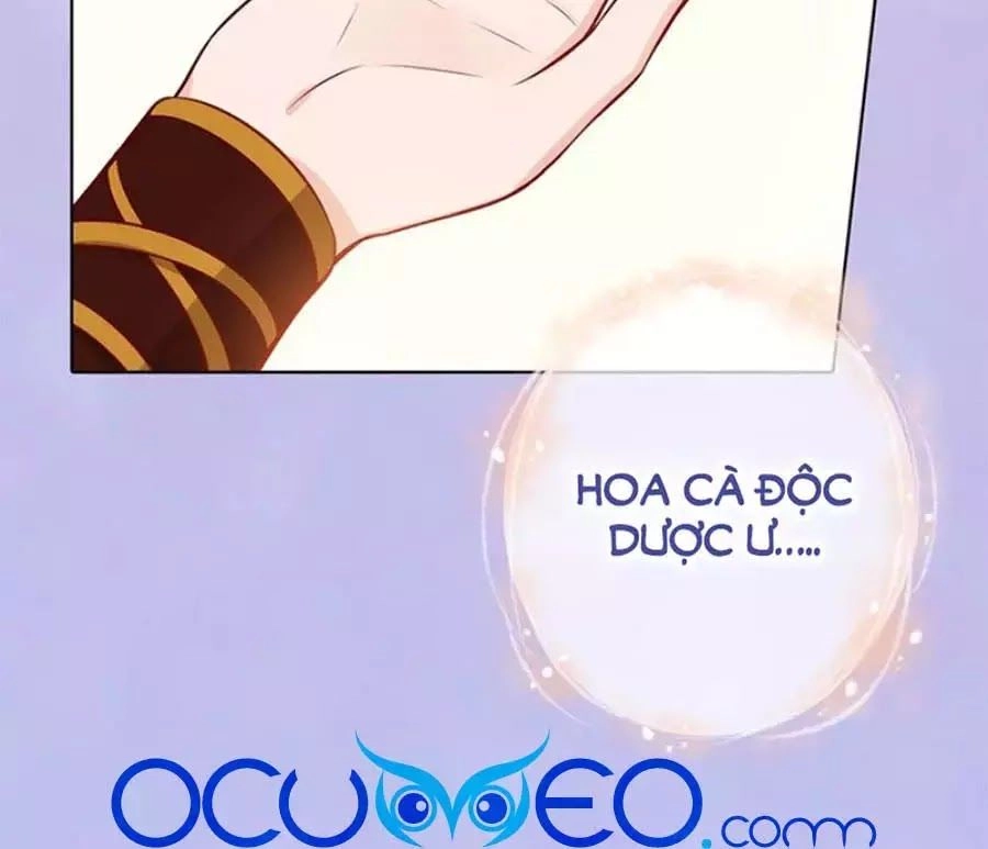 Mỹ Nhân Già Rồi Chapter 66 - 46