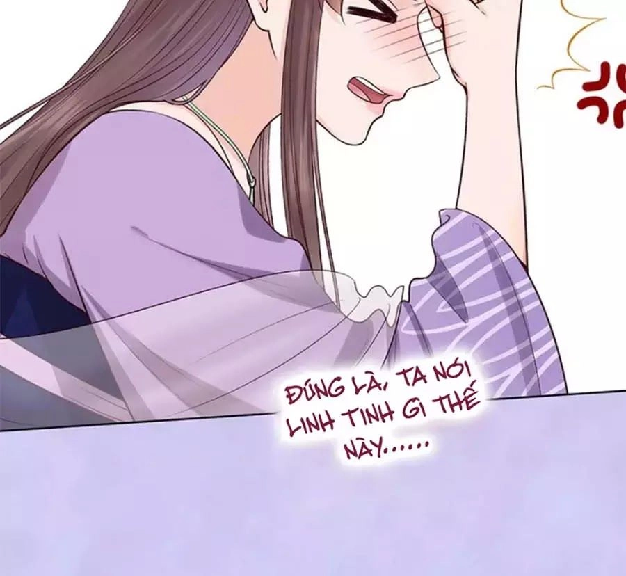 Mỹ Nhân Già Rồi Chapter 67 - 66