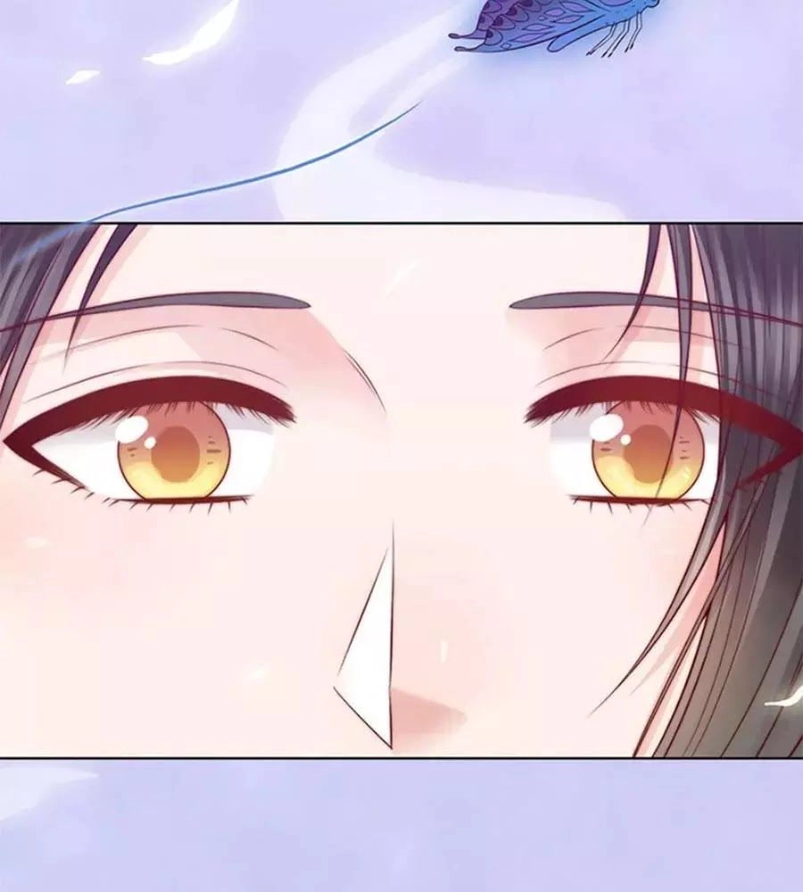 Mỹ Nhân Già Rồi Chapter 67 - 89