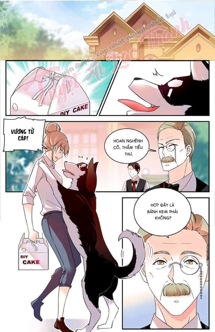 Luyến Ái Cấm Kỵ Điều Lệ Chapter 80 - 6