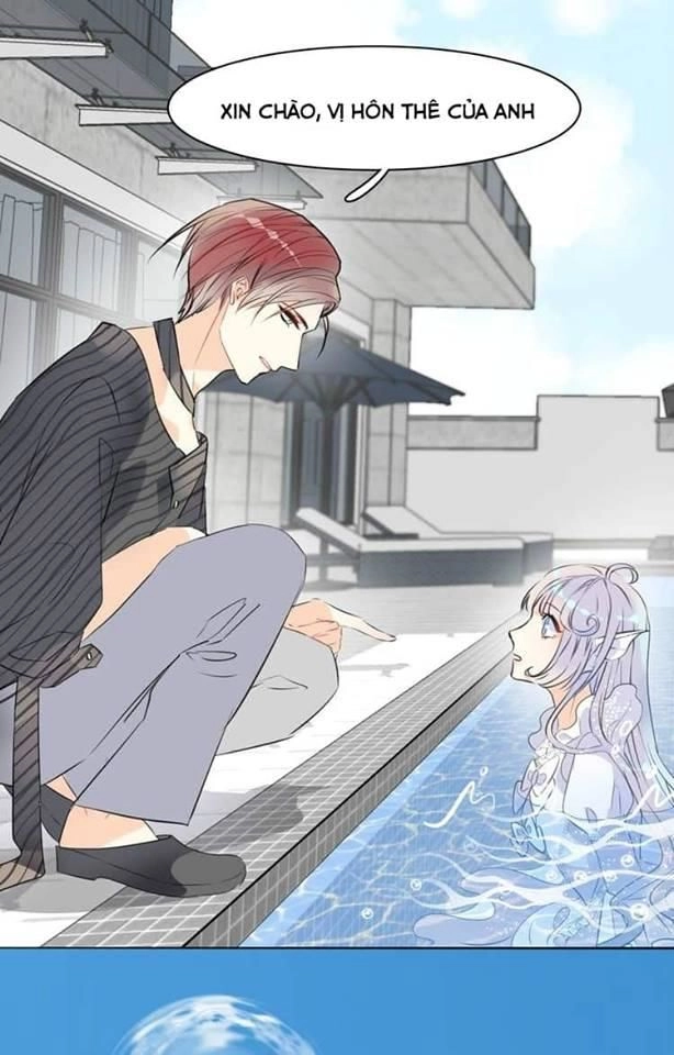 Bộ Váy Của Nhân Ngư Chapter 2 - 2