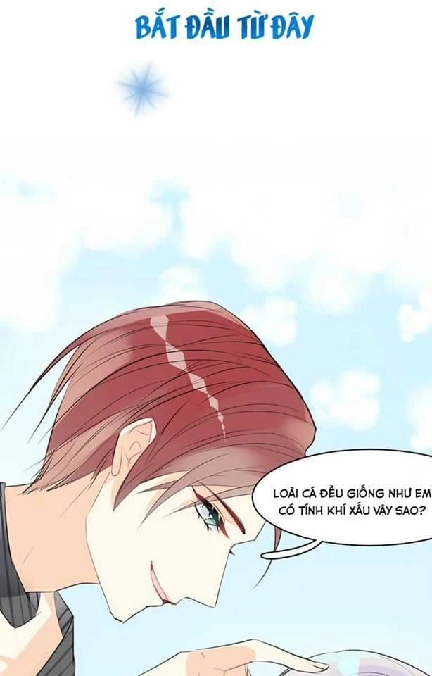 Bộ Váy Của Nhân Ngư Chapter 2 - 9