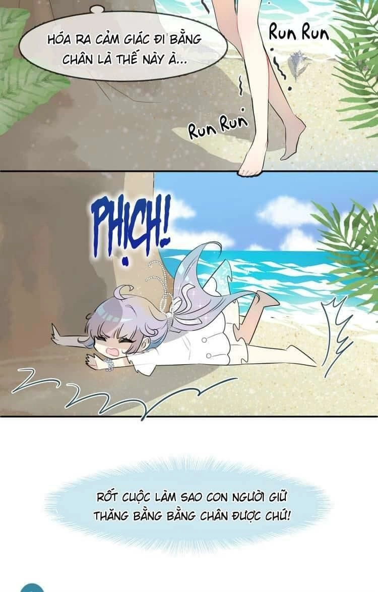 Bộ Váy Của Nhân Ngư Chapter 3 - 16