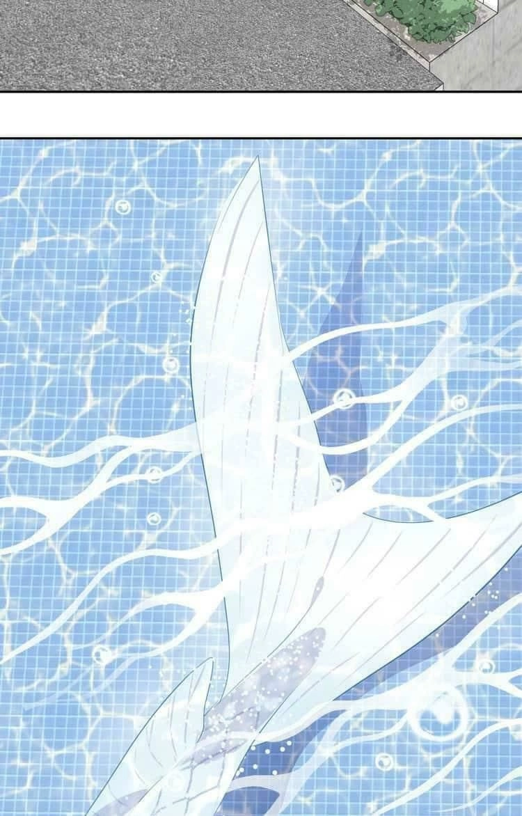 Bộ Váy Của Nhân Ngư Chapter 6 - 2