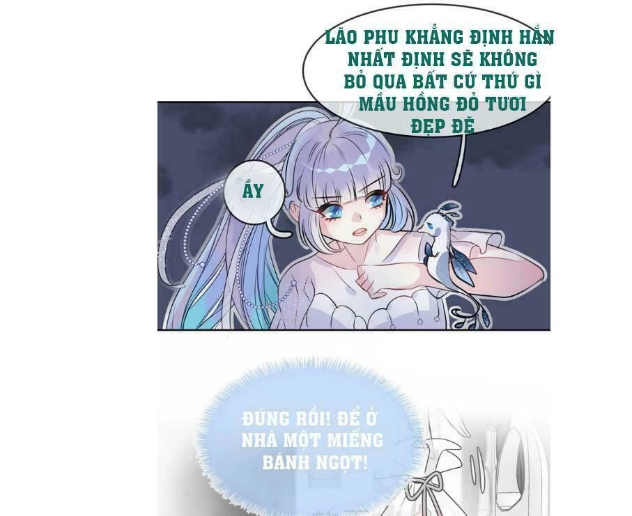 Bộ Váy Của Nhân Ngư Chapter 16 - 11