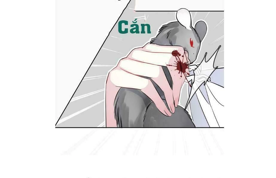 Bộ Váy Của Nhân Ngư Chapter 16 - 18