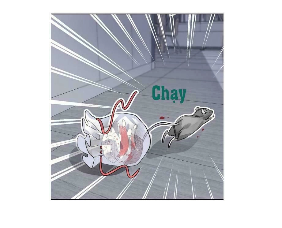 Bộ Váy Của Nhân Ngư Chapter 16 - 20