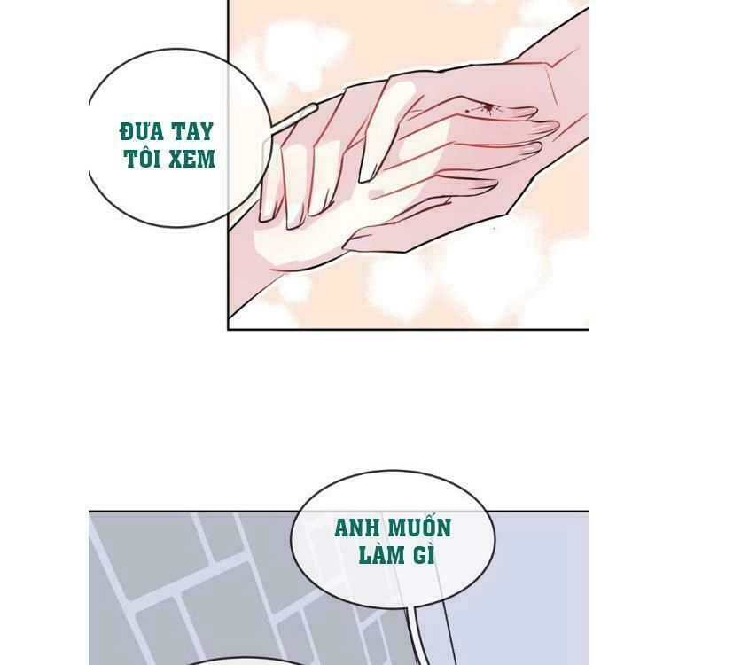 Bộ Váy Của Nhân Ngư Chapter 17 - 4