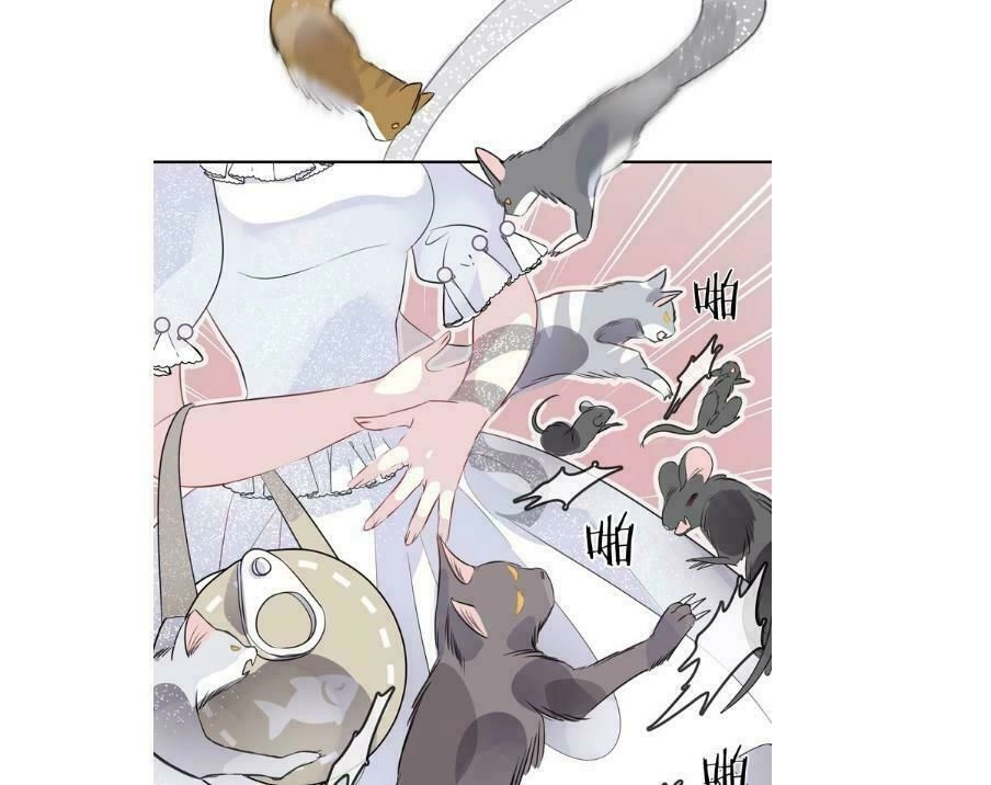 Bộ Váy Của Nhân Ngư Chapter 21 - 5