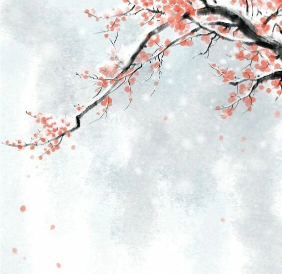 Cậu Câm Chapter 21 - 29