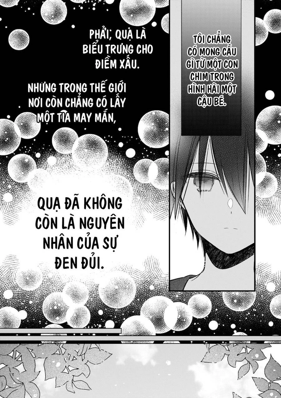 Vị Hôn Phu Của Tôi Đã Rơi Vào Lưới Tình Với Em Gái Chapter 11 - 13