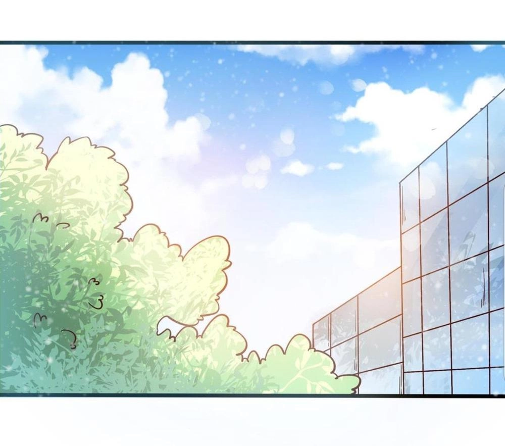 Vương Phi Hám Của - Phu Quân Là Một Bảo Bảo Ấm Áp Chapter 10 - 19