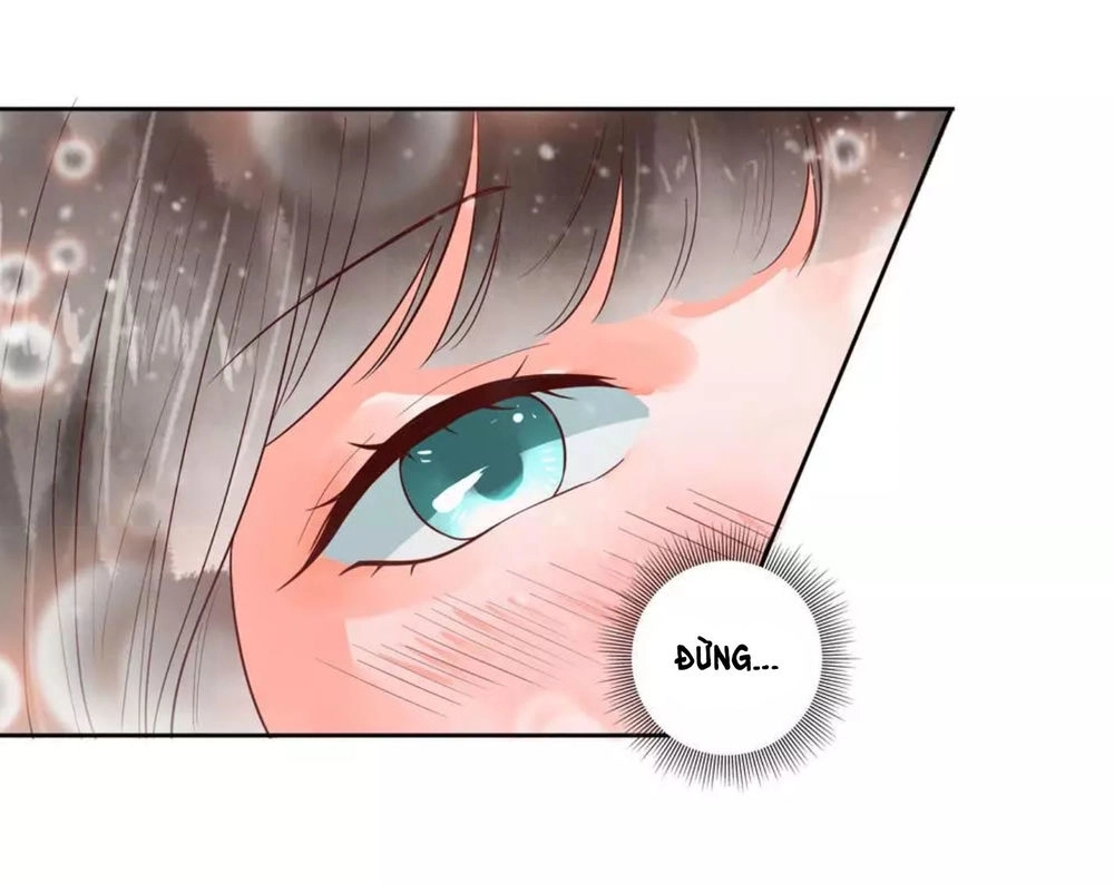 Vương Phi Hám Của - Phu Quân Là Một Bảo Bảo Ấm Áp Chapter 46 - 2