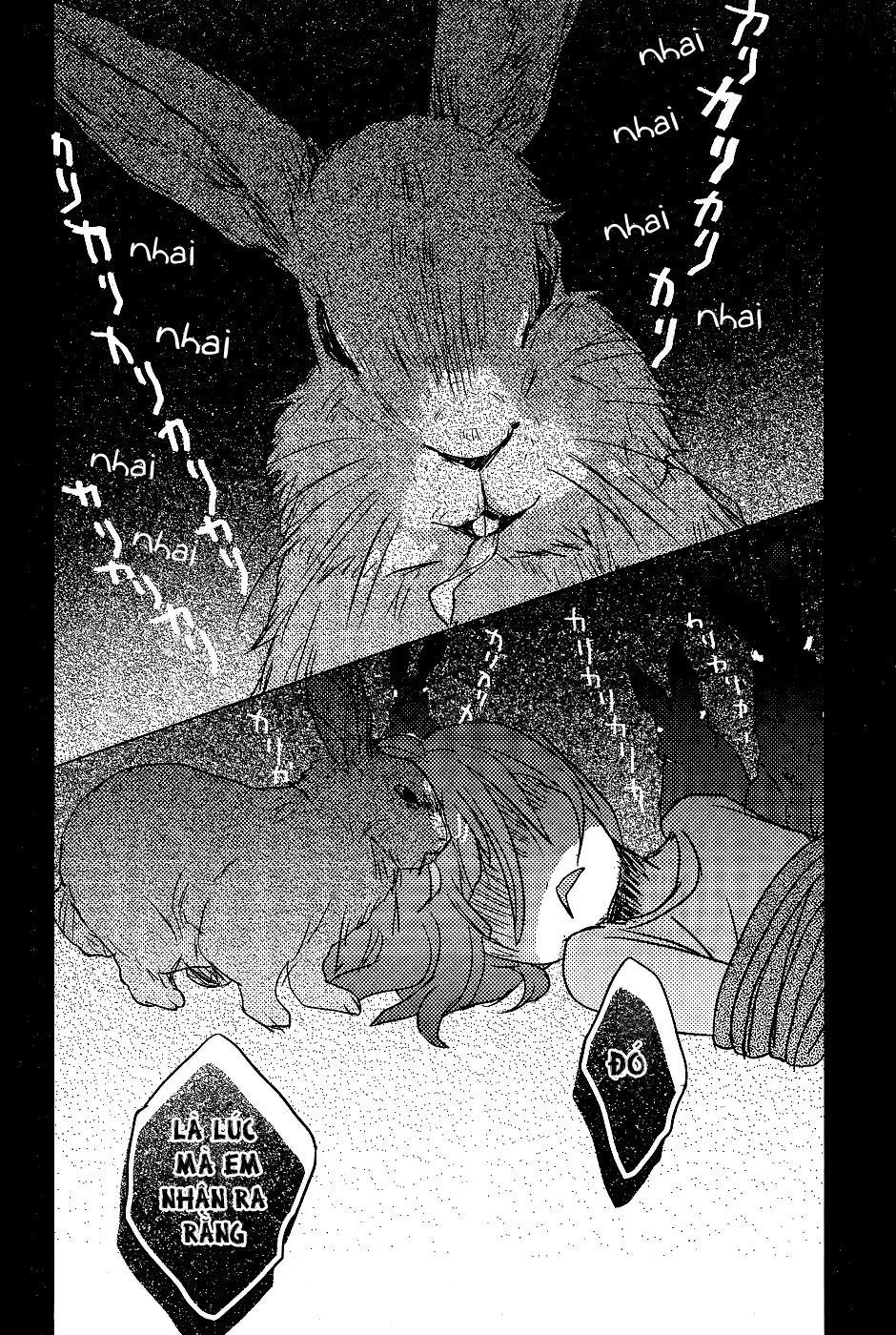 Bokura Wa Minna Kawaisou1 Chapter 73 - 12