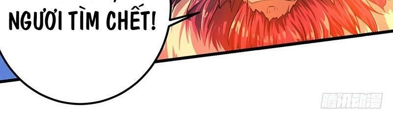 Độc Bộ Tiêu Dao Chapter 4 - 47