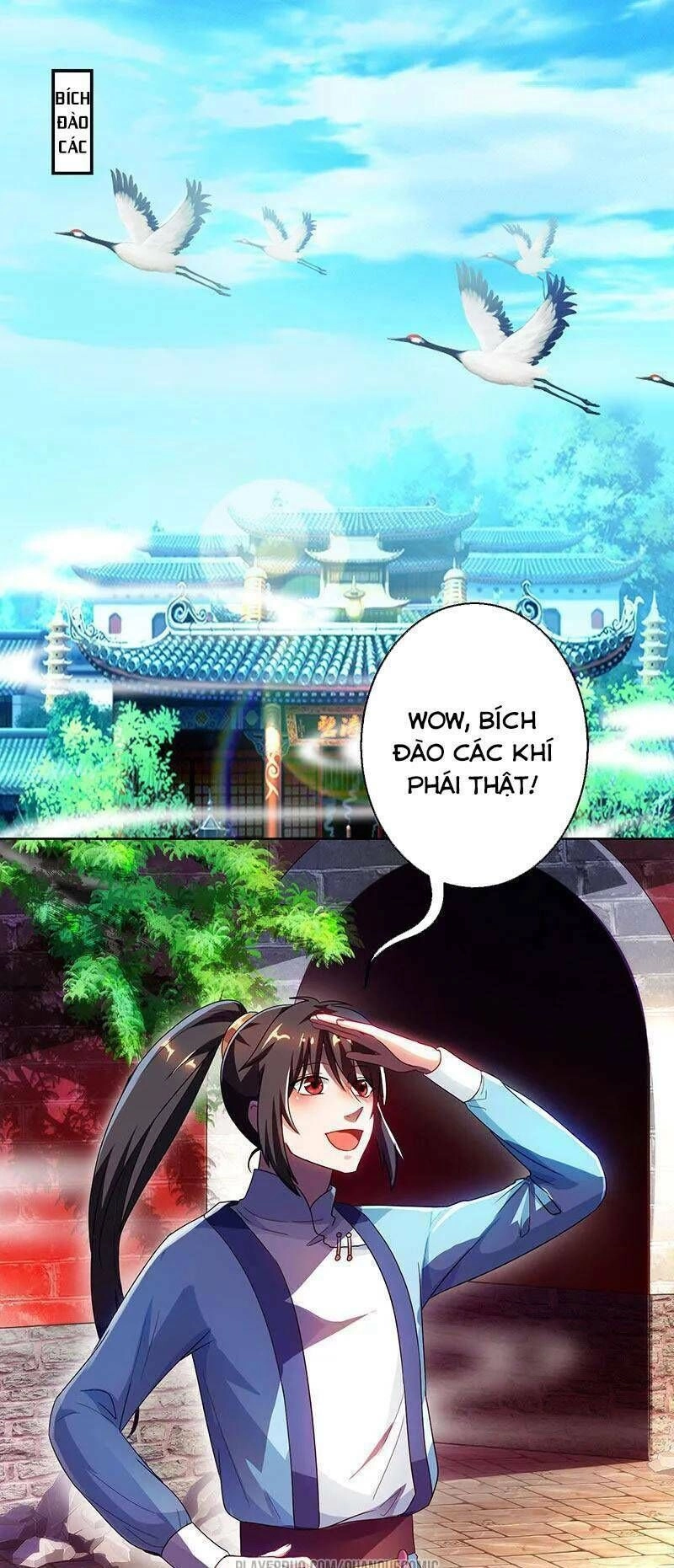 Độc Bộ Tiêu Dao Chapter 41 - 18