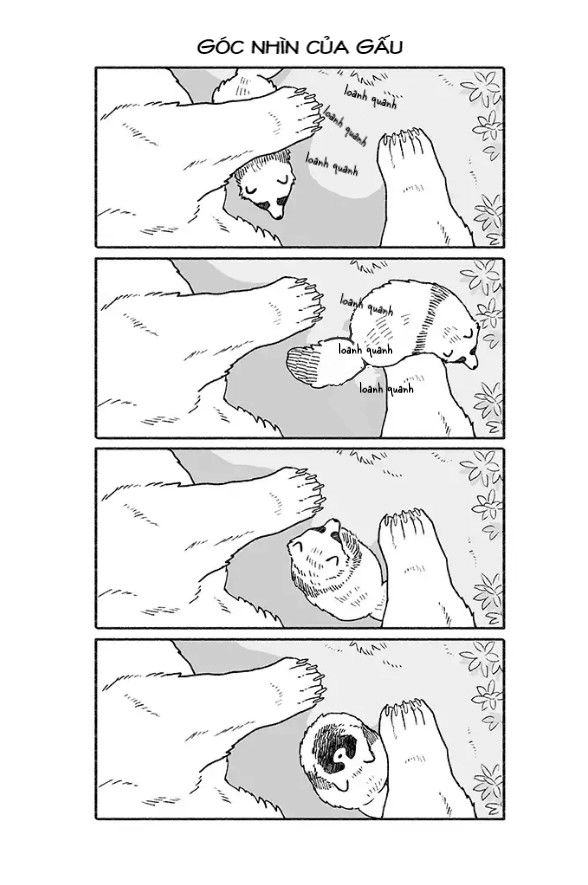 Gấu Và Tanuki Chapter 2 - 1