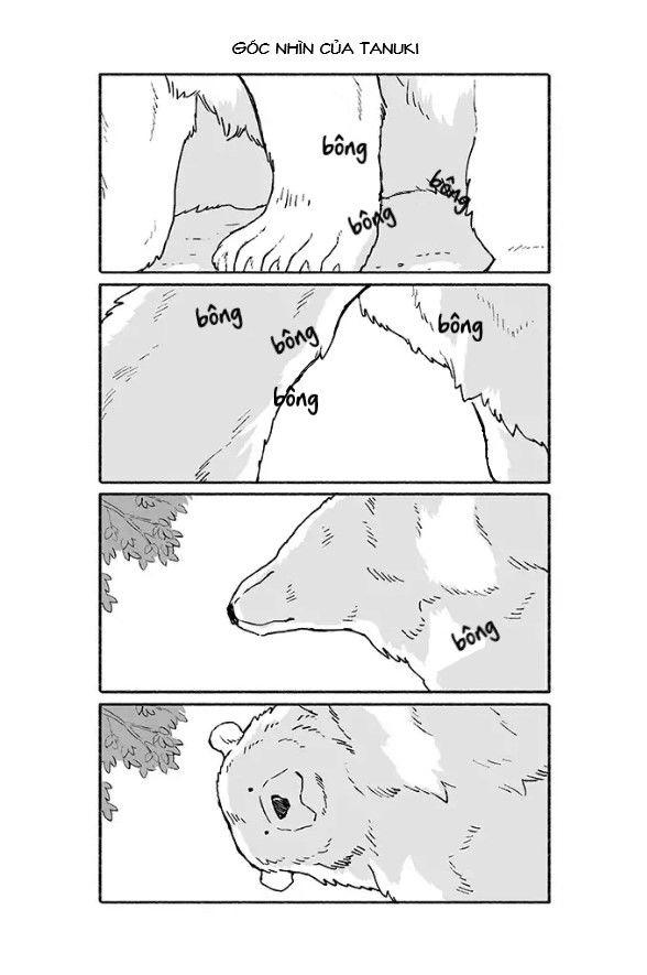 Gấu Và Tanuki Chapter 2 - 2