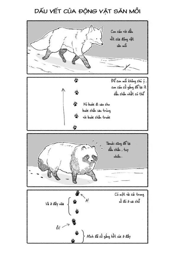 Gấu Và Tanuki Chapter 3 - 1