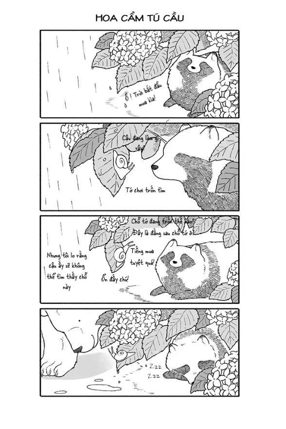 Gấu Và Tanuki Chapter 3 - 5