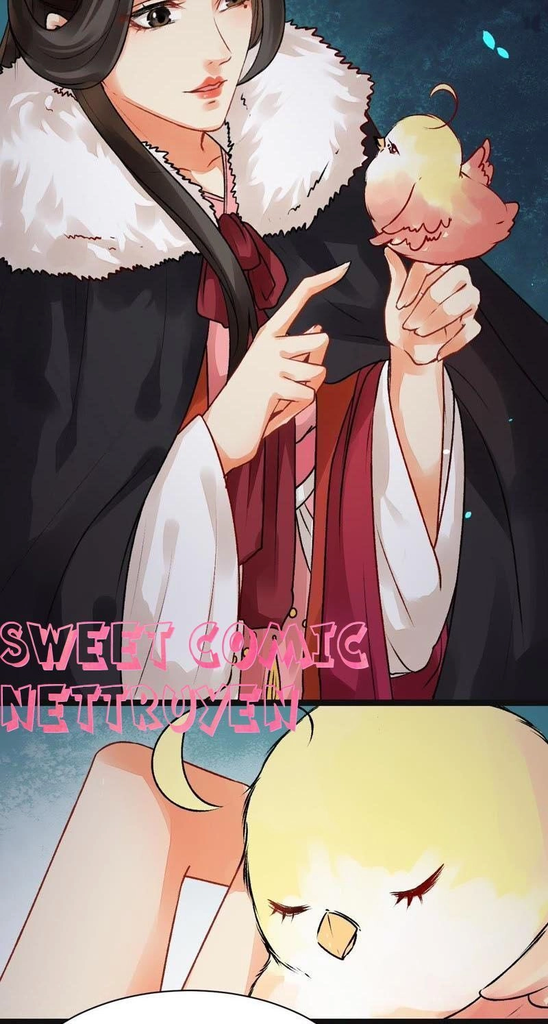 Thịnh Sủng Kiều Nữ Trở Về Triều Ca Chapter 5 - 19