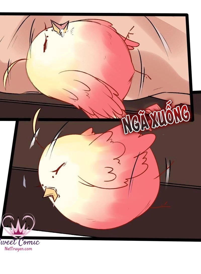 Thịnh Sủng Kiều Nữ Trở Về Triều Ca Chapter 26 - 20