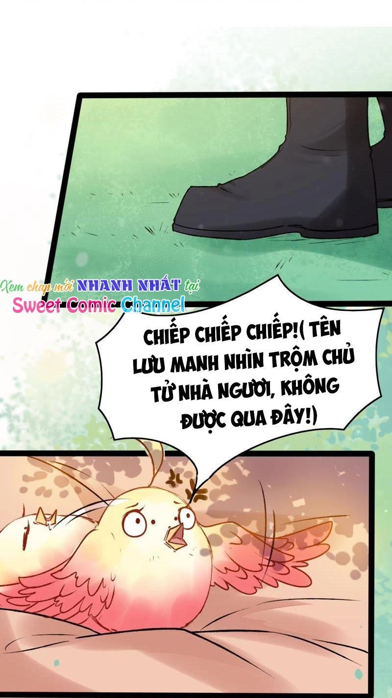 Thịnh Sủng Kiều Nữ Trở Về Triều Ca Chapter 26 - 23