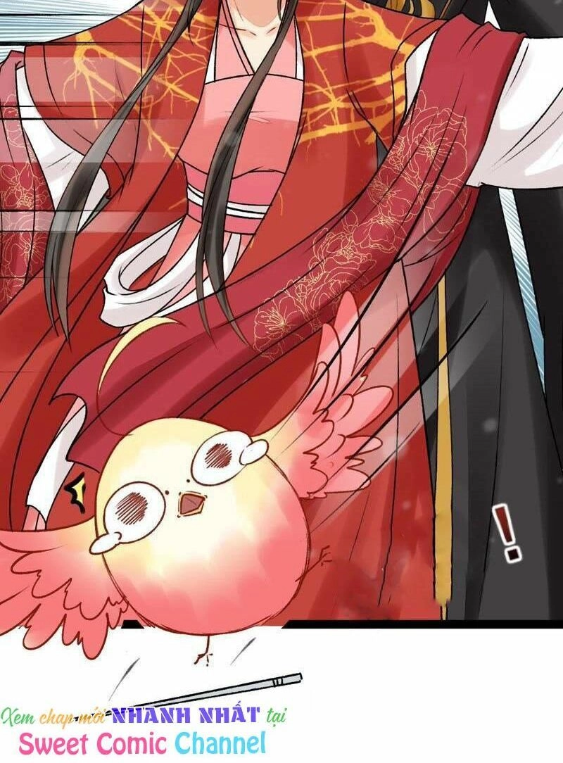 Thịnh Sủng Kiều Nữ Trở Về Triều Ca Chapter 28 - 12