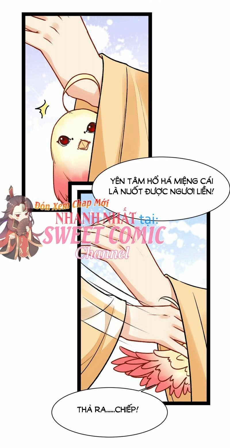 Thịnh Sủng Kiều Nữ Trở Về Triều Ca Chapter 32 - 11