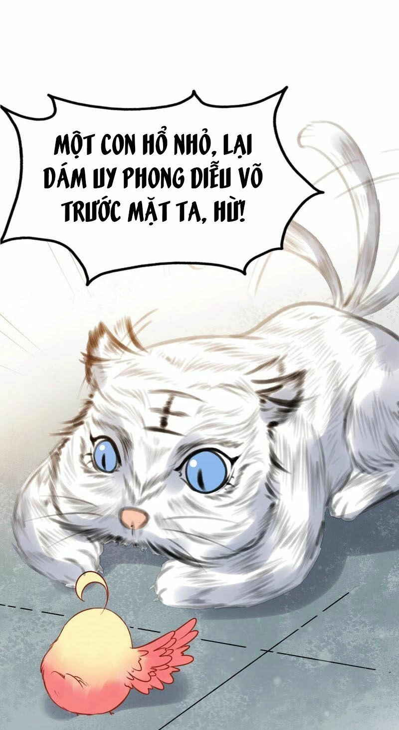 Thịnh Sủng Kiều Nữ Trở Về Triều Ca Chapter 33 - 10